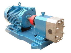 外润滑型不锈钢泵 食品果酱与化工原料输送的可靠卫士及密封填料制造的关键